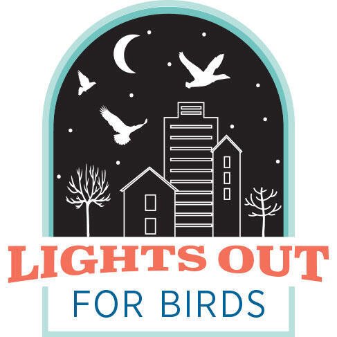 Lights Out for Birds