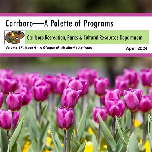 recs and parks programing