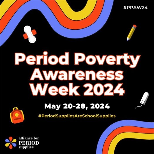 Period Poverty Awareness Graphic 2024