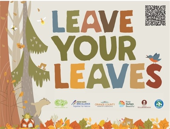 Leave Your Leaves