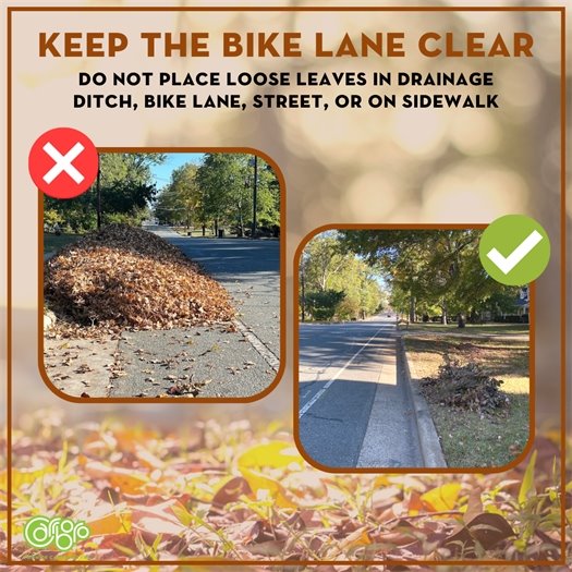 Yard waste guidelines from the Town of Carrboro