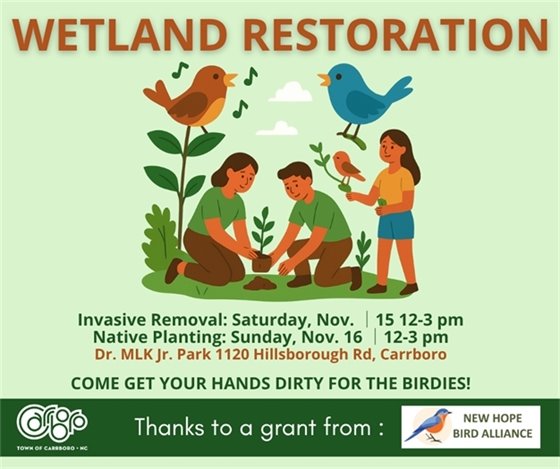 Invasive Species Removal and Planting Events at Dr. Martin Luther King Jr. Park