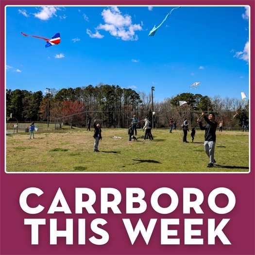 families flying kites at Anderson Park for the Annual Kite Fly
