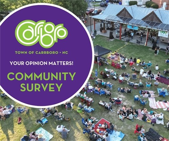 Community Survey - overhead view of Town Commons with a crowd watching a Freight Train Blues Concert