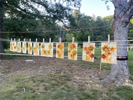 fall leaf prints hanging on a clothes line between two trees