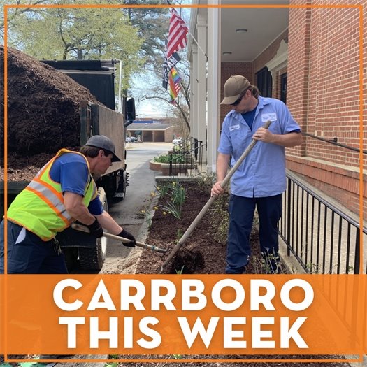 CTW May 14 image of crowd enjoying Freight Train Blues