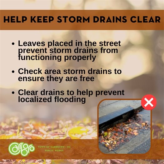 Keep Storm Drains Clear