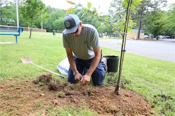 Mayor Foushee presenting the Arbor Day Proclamation