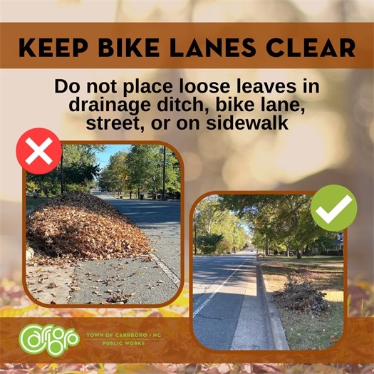 Keep Bike Lanes Clear