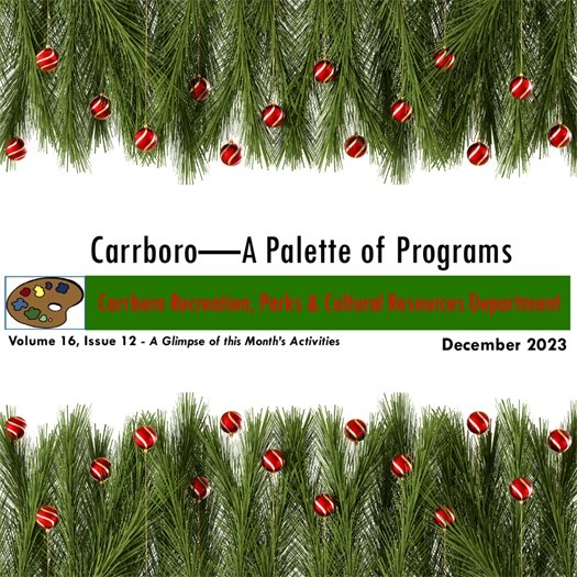 recs and parks programing