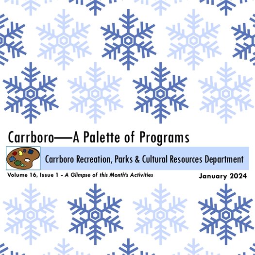 recs and parks programing