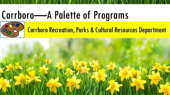Parks and Rec Monthly Programing newsletter header with daffodills in the background