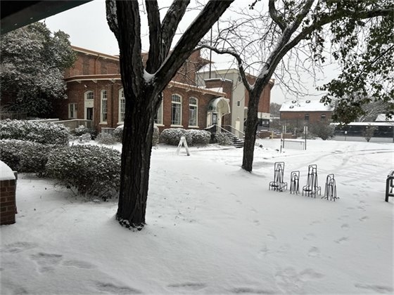 Winter storm of Feb. 19, 2025 scene from Weaver Street Market