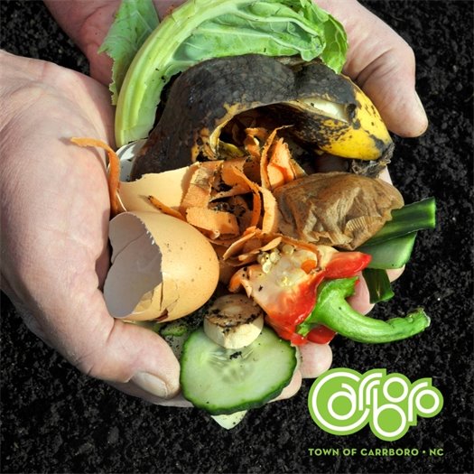 hands holding compst