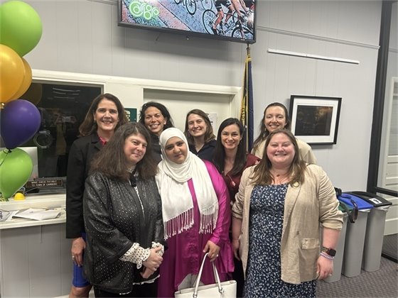 Language Access Plan Team