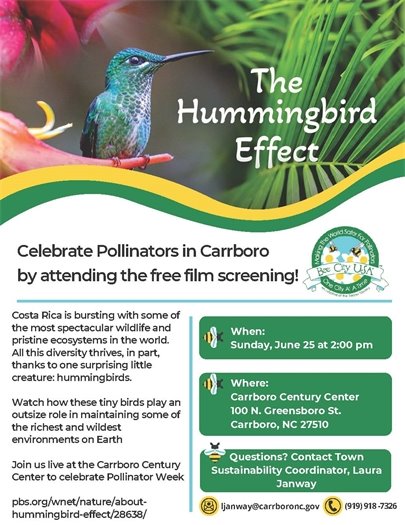 The Hummingbird Effect 2023