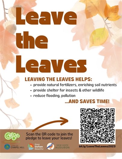 Leave the Leaves