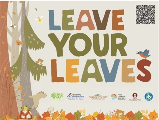 Leave your leaves