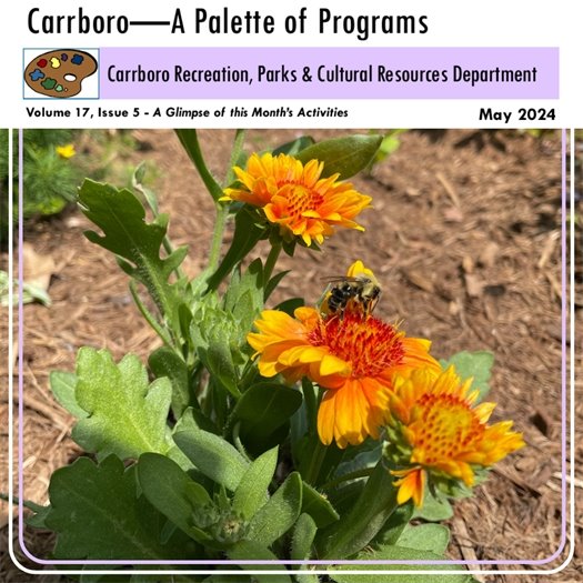 recs and parks programing