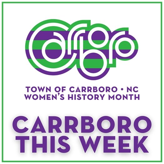 families flying kites at Anderson Park for the Annual Kite Fly