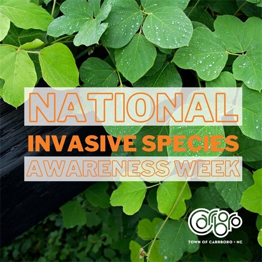 Invasive Species Awareness Week
