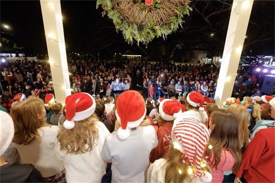 Crowd at the Tree Lighting