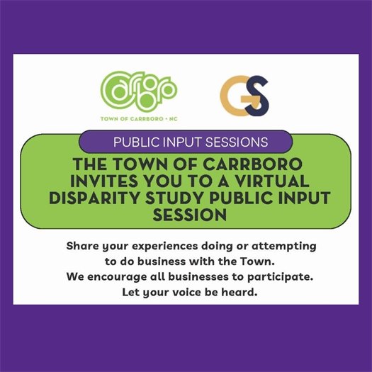 Disparity Study Graphic