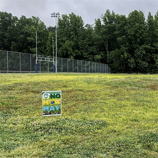 No Mo May sign in front of a field at Hank Anderson Park
