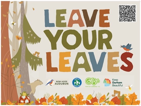 Leave the Leaves