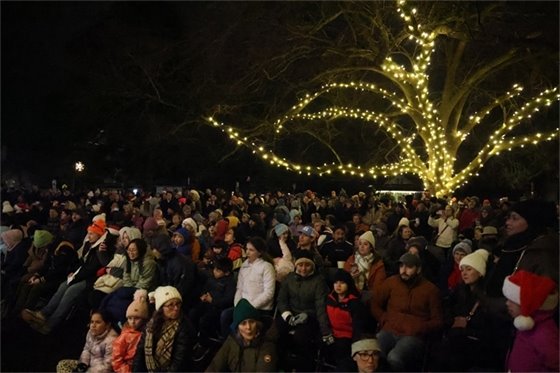 Crowd at Tree Lighting Ceremony