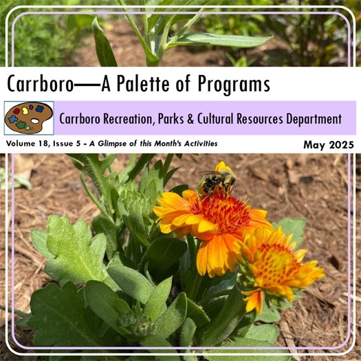 Parks and Rec Monthly Programing