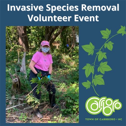 Invasive Species Removal Event