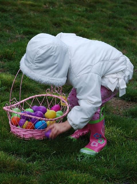 Egg Hunt