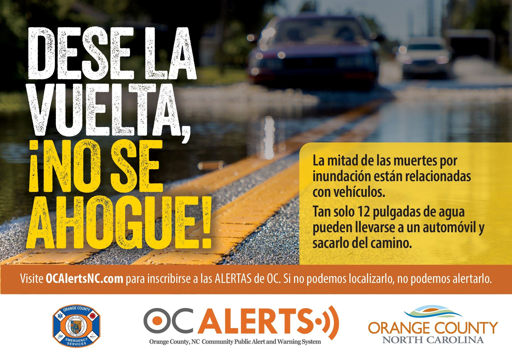 turn around don't drown