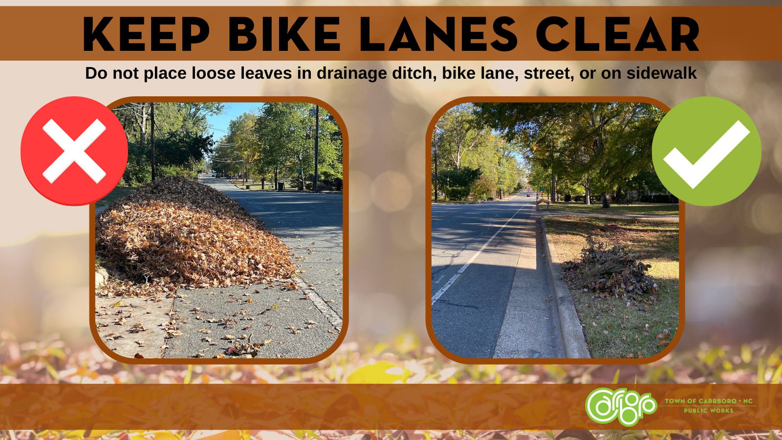 keep leaves out of bike lanes