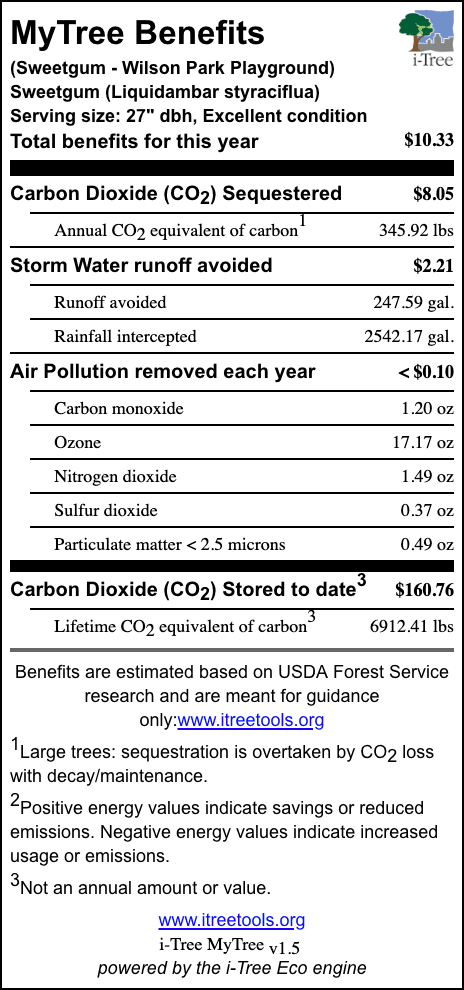 Sweetgum Wilson Park Playground